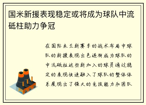 国米新援表现稳定或将成为球队中流砥柱助力争冠