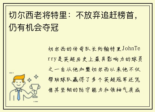 切尔西老将特里：不放弃追赶榜首，仍有机会夺冠