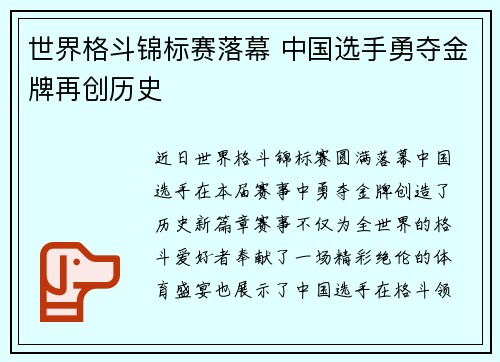 世界格斗锦标赛落幕 中国选手勇夺金牌再创历史