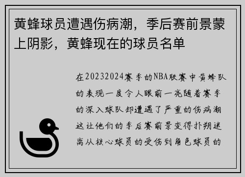 黄蜂球员遭遇伤病潮，季后赛前景蒙上阴影，黄蜂现在的球员名单